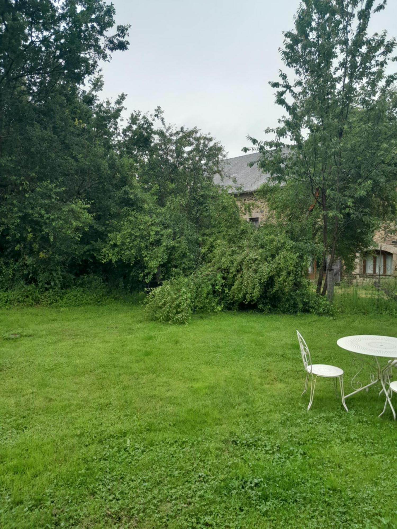 La Petite Salamandre Bleue La Croisille-sur-Briance Exterior foto